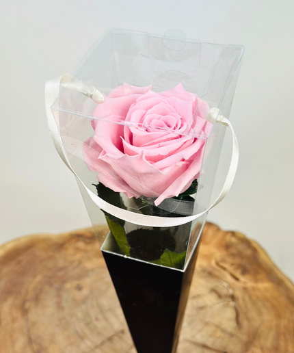 Longlife Roos "Sealed Love" in giftbox (roze) - 30 cm