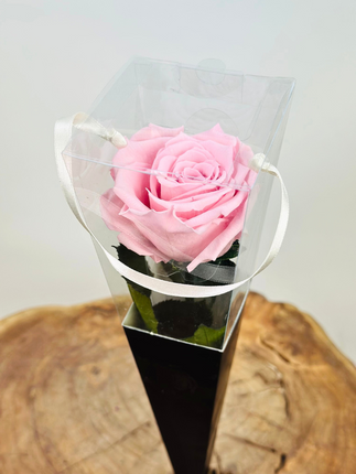 Longlife Roos "Sealed Love" in giftbox (roze) - 30 cm