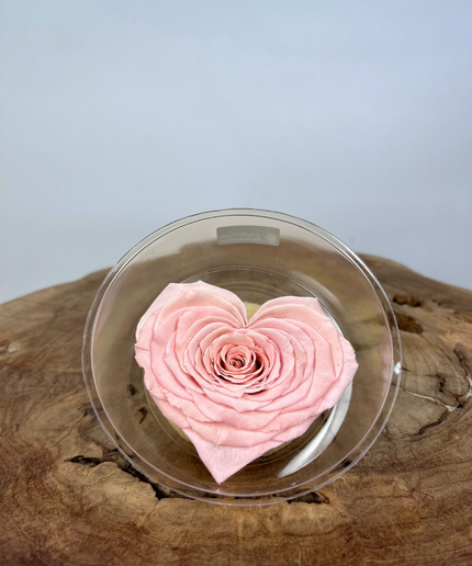 DIY | Longlife rozenkop | Hart - Roze