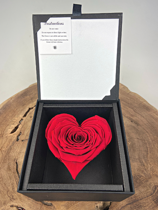 Longlife Roos 'hart' in giftbox