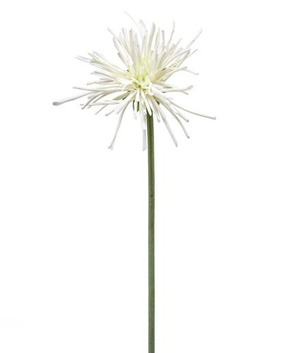 Zijden bloem "Gerbera spider RT white | 60 cm