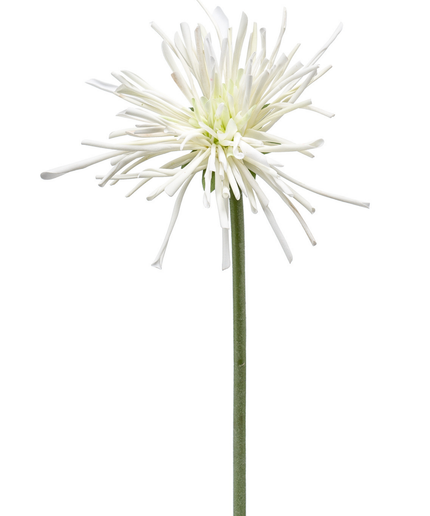 Zijden bloem "Gerbera spider RT white | 60 cm