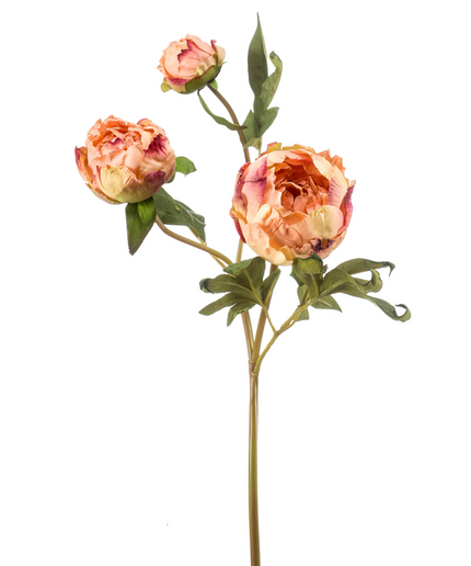 Zijden bloem "Peony" spray x3 dry look peach | 62 cm