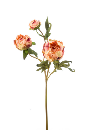 Zijden bloem "Peony" spray x3 dry look peach | 62 cm