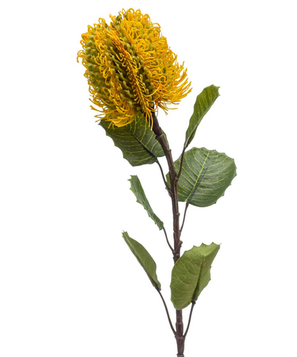 Zijden bloem "Banksia" Spray Yellow | 57cm