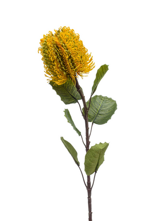 Zijden bloem "Banksia" Spray Yellow | 57cm