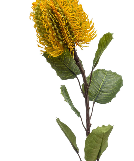 Zijden bloem "Banksia" Spray Yellow | 57cm