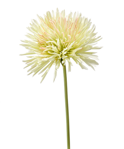 Zijden bloem "Chrysanthemum" Spray light green | 58 cm