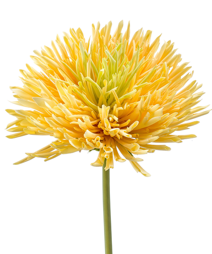 Zijden bloem "Chrysanthemum" Spray yellow | 58 cm