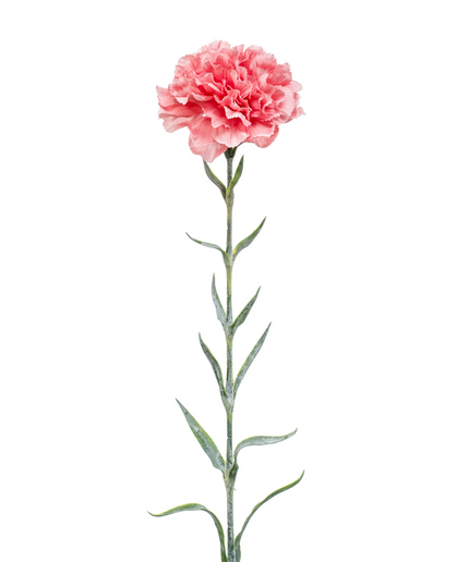 Zijden bloem "Dianthus" spray pink | 67 cm