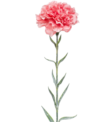 Zijden bloem "Dianthus" spray pink | 67 cm