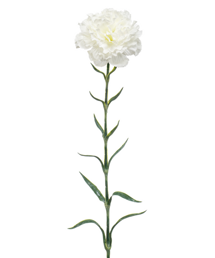 Zijden bloem "Dianthus" spray white | 67 cm