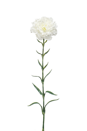 Zijden bloem "Dianthus" spray white | 67 cm