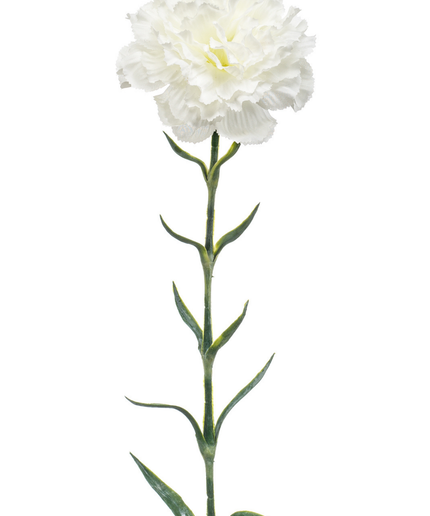 Zijden bloem "Dianthus" spray white | 67 cm