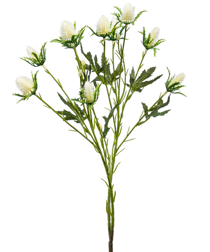 Zijden bloem "Eryngium" Spray x 2 Cream | 68 cm