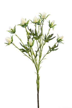 Zijden bloem "Eryngium" Spray x 2 Cream | 68 cm