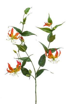 Zijden bloem "Gloriosa" Spray orange | 120 cm