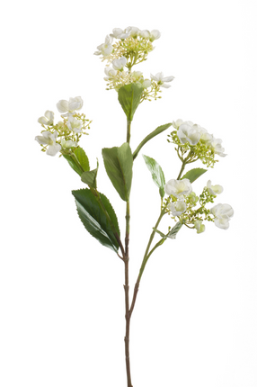 Zijden bloem "Hydrangea" Spray Cream | 75cm