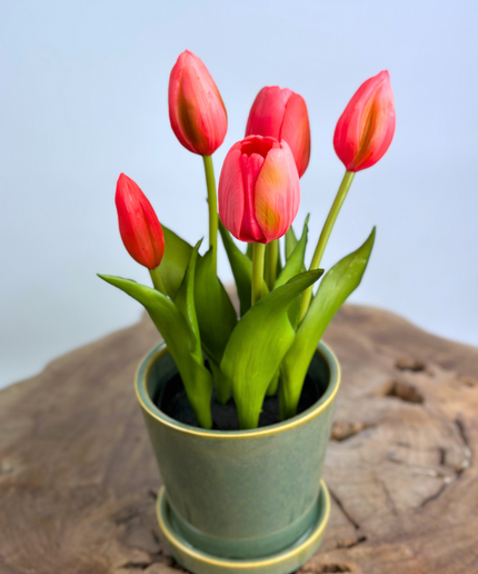 Kunst Tulpen - roze (incl. groene pot) | 30cm