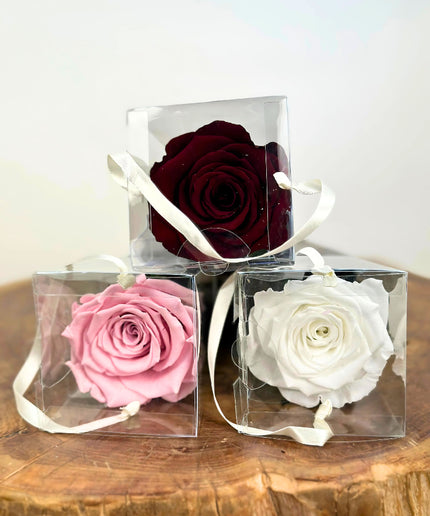 Longlife Roos "Sealed Love" in giftbox (roze) - 30 cm