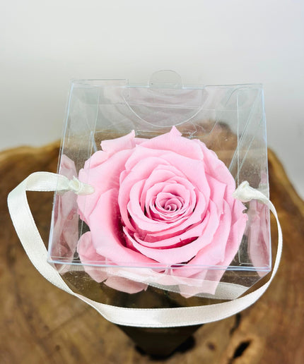 Longlife Roos "Sealed Love" in giftbox (roze) - 30 cm