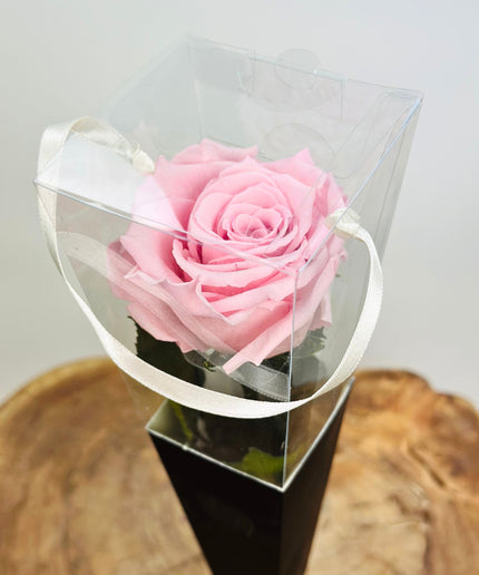 Longlife Roos "Sealed Love" in giftbox (roze) - 30 cm