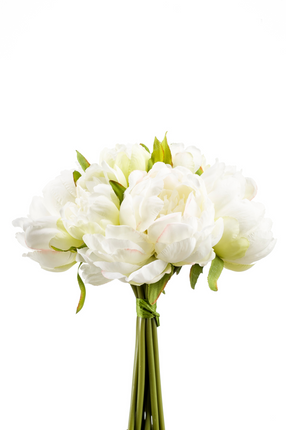 Zijden bloem "Peony" bundle white/green | 24cm