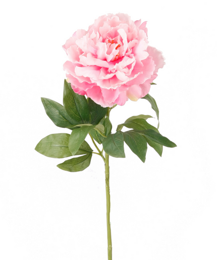 Zijden bloem "Peony" Spray Pink | 65cm