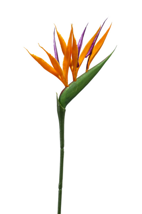 Zijden bloem "Strelitzia mini" spray orange | 65cm