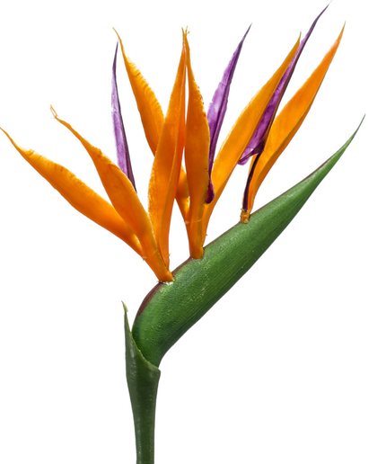 Zijden bloem "Strelitzia mini" spray orange | 65cm