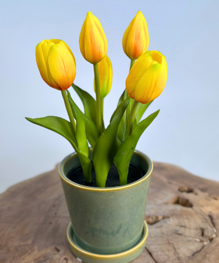 "Real Touch" Tulpen - geel (met pot) | 30cm