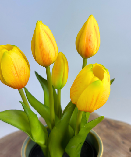 "Real Touch" Tulpen - geel (met pot) | 30cm