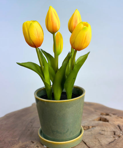 "Real Touch" Tulpen - geel (met pot) | 30cm