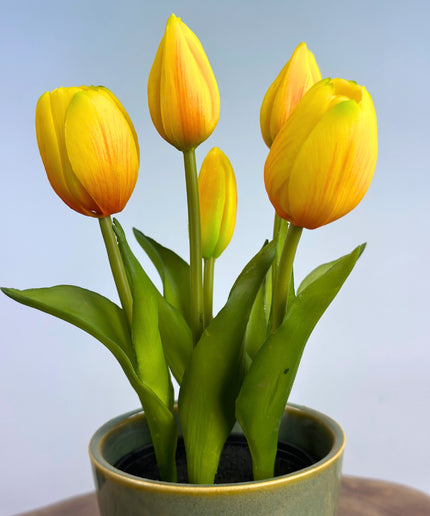 "Real Touch" Tulpen - geel (met pot) | 30cm