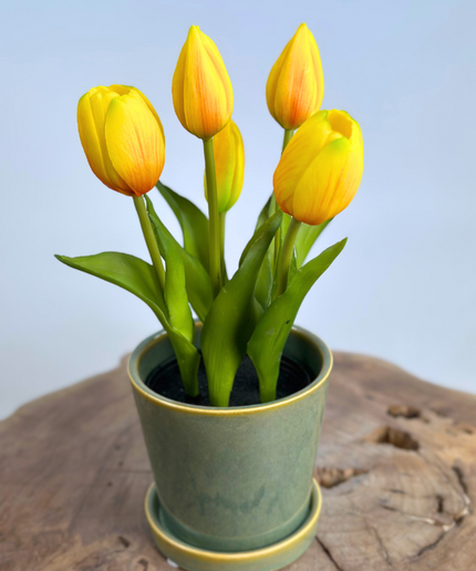 "Real Touch" Tulpen - geel (met pot) | 30cm