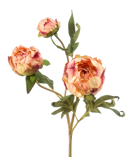 Zijden bloem "Peony" spray x3 dry look peach | 62 cm